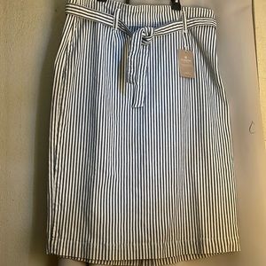NWT…JCrew Denim’s Skirt